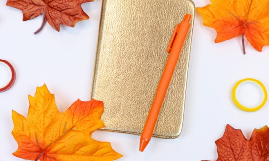 寻乌县中等职业技术学校2026年报名指南